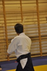 2012 10 trening kenjutsu015