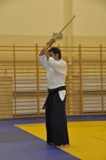 2012 10 trening kenjutsu020