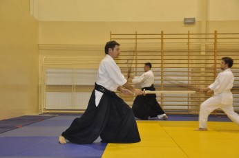 2012 10 trening kenjutsu034
