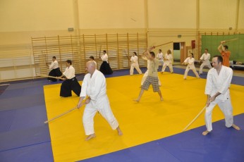 2012 10 trening kenjutsu039