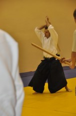 2012 10 trening kenjutsu052