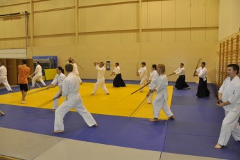 2012 10 trening kenjutsu056