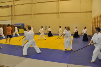 2012 10 trening kenjutsu057