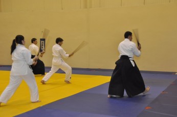 2012 10 trening kenjutsu062