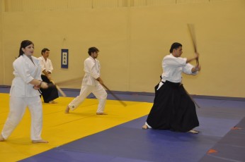 2012 10 trening kenjutsu063