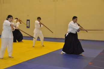 2012 10 trening kenjutsu064