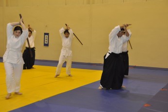 2012 10 trening kenjutsu065