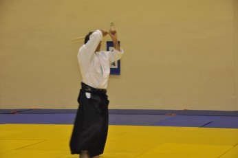2012 10 trening kenjutsu068