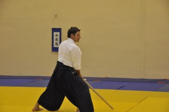 2012 10 trening kenjutsu070