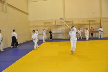2012 10 trening kenjutsu073