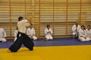 2012 10 trening kenjutsu075