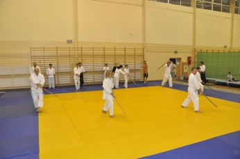 2012 10 trening kenjutsu081
