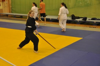 2012 10 trening kenjutsu087