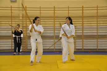 2012 10 trening kenjutsu088