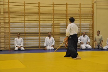 2012 10 trening kenjutsu090