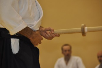 2012 10 trening kenjutsu098