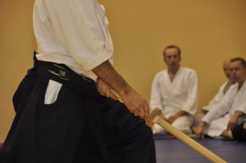 2012 10 trening kenjutsu102