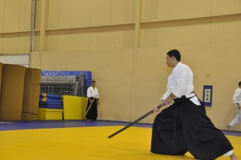 2012 10 trening kenjutsu103