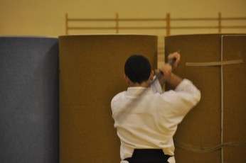 2012 10 trening kenjutsu106
