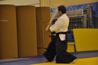 2012 10 trening kenjutsu113