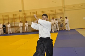2012 10 trening kenjutsu114