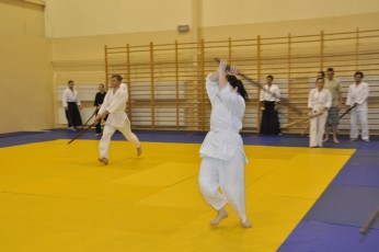 2012 10 trening kenjutsu116