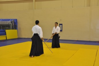2012 10 trening kenjutsu129
