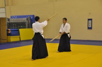 2012 10 trening kenjutsu145