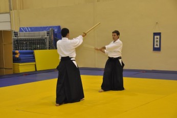 2012 10 trening kenjutsu146