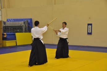 2012 10 trening kenjutsu147