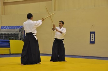2012 10 trening kenjutsu153