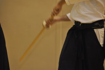 2012 10 trening kenjutsu154