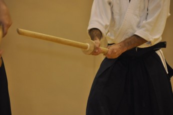 2012 10 trening kenjutsu155