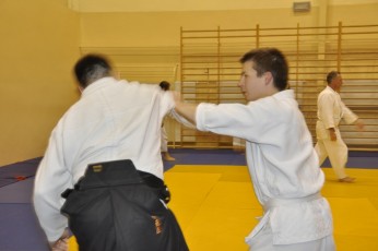 2012 10 trening kenjutsu181