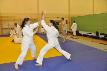 2012 10 trening kenjutsu183