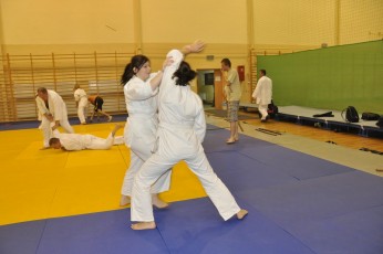 2012 10 trening kenjutsu184
