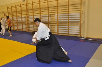 2012 10 trening kenjutsu187