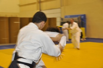 2012 10 trening kenjutsu190