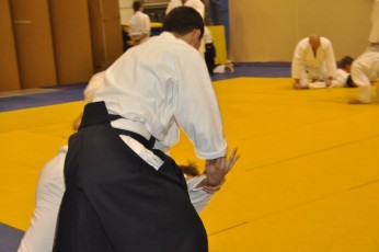 2012 10 trening kenjutsu191