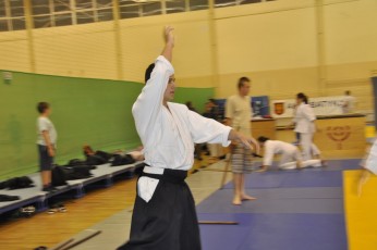 2012 10 trening kenjutsu192