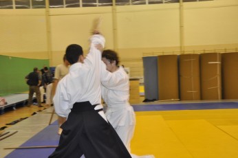 2012 10 trening kenjutsu194