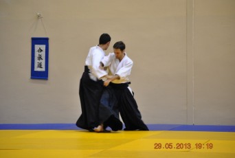 2013 trening aikido003