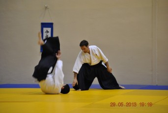 2013 trening aikido004