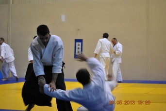 2013 trening aikido005