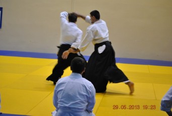 2013 trening aikido006