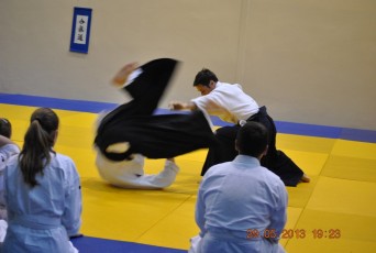 2013 trening aikido007
