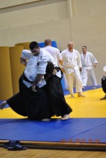2013 trening aikido010