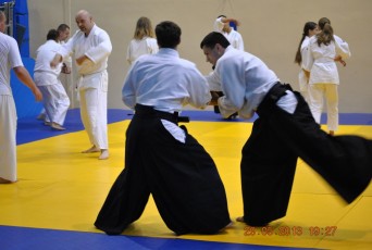2013 trening aikido018