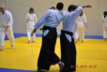 2013 trening aikido019