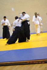 2013 trening aikido022
